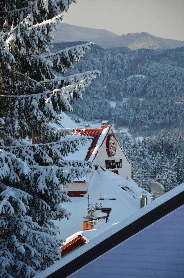 Фото Отели Welland Отель Яремче 2